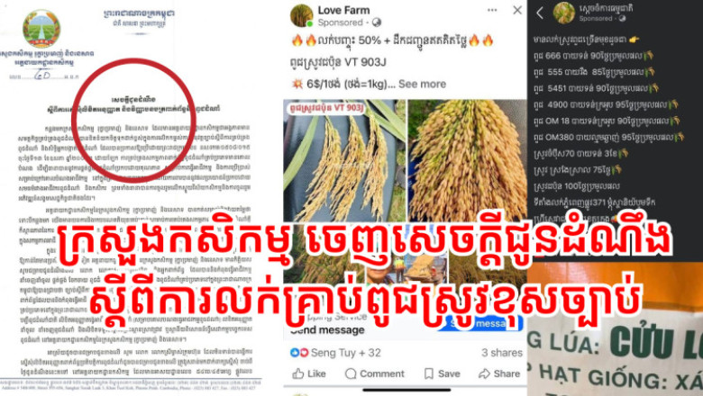 ក្រសួងកសិកម្ម ចេញសេចក្តីជូនដំណឹង ស្តីពីការលក់គ្រាប់ពូជស្រូវខុសច្បាប់