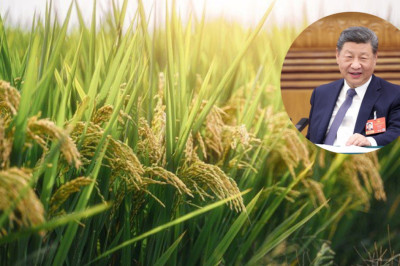 ស្វែងយល់ពីព័ត៌មានក្តៅនៃមហាសន្និបាតទាំងពីររបស់ចិនឆ្នាំ២០២៦តាមដានជើងរបស់លោកXi